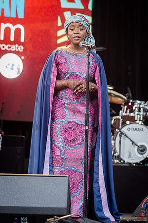 Alhanislam - NYC SummerStage - Femi Kuti - Rumsey Playfield - NY