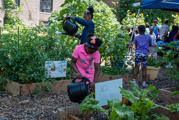 CPF Learning Gardens - Abib Newborn - NYC -2025