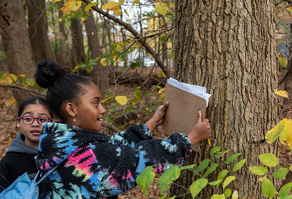 CPF Learn - Seeds To Trees - Prospect Park - NYC - 2024
