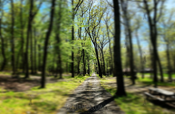 Harriman State Paark