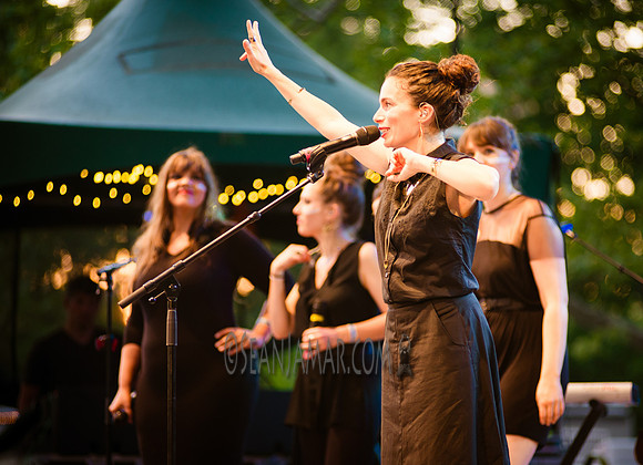 Fete de la Musique - Rumsey Playfield Central Park - NYC - 2016