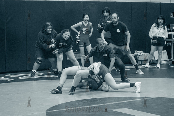 PSAL Girls Individual Championships - Harry S Truman HS - NYC -