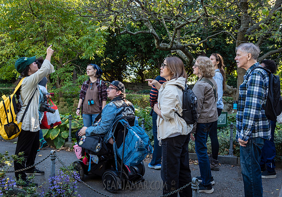 CPF Green Fund - NYC Bird Alliance Accessible Birding - Ft Tryon