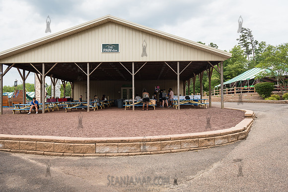 ARUP Company Picnic - Black Bear Lake - Millstone Township NJ -