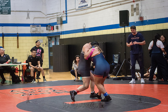 PSAL Girls Individual Championships - Harry S Truman HS - NYC -