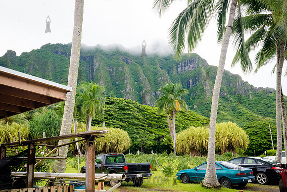 Tropical Farms Macadamia Nuts - Adventure Day - Oahu Hawaii - 2018