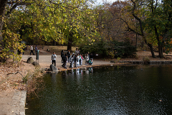 CPF Learn - Seeds To Trees - Prospect Park - NYC - 2024