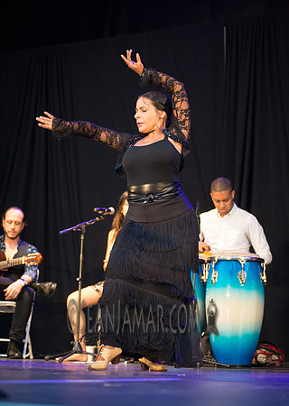 Nelida Tirado - Made in the Bronx presented by BAAD - St Marys Park - BX NYC - 2017