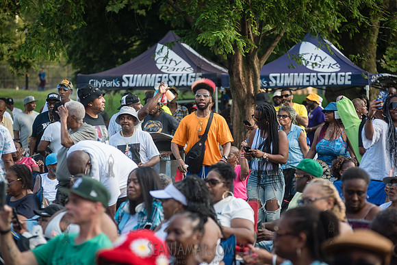 CPF SummerStage - Chuck Chillout 40th Radio Anniv - Crotona Park
