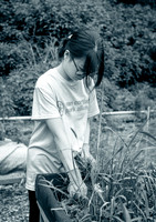 NYC Green Fund - Van Cortlandt Park Alliance Intern Training - V