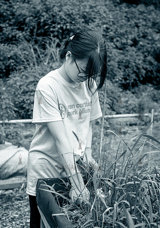 NYC Green Fund - Van Cortlandt Park Alliance Intern Training - V