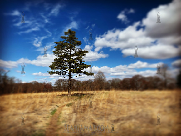 Hilltop Reservation