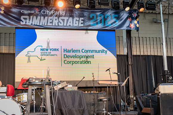NYC SummerStage - Blacktronica Festival - Marcus Garvey Park - N