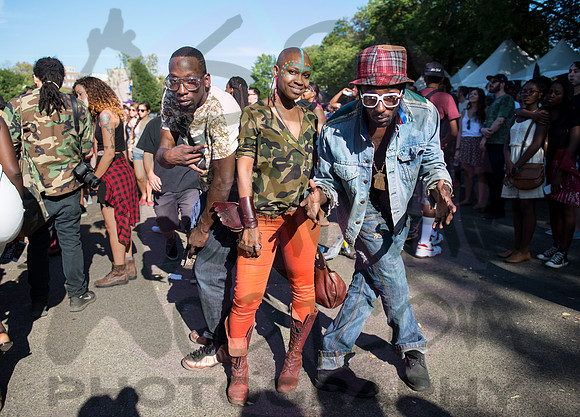Afropunk Festival - Commodore Barry Park - BK USA - 2013