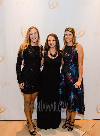 Heart of Gold Gala - The Fiesta - Woodridge NJ - 2016