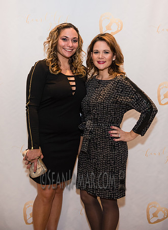 Heart of Gold Gala - The Fiesta - Woodridge NJ - 2016