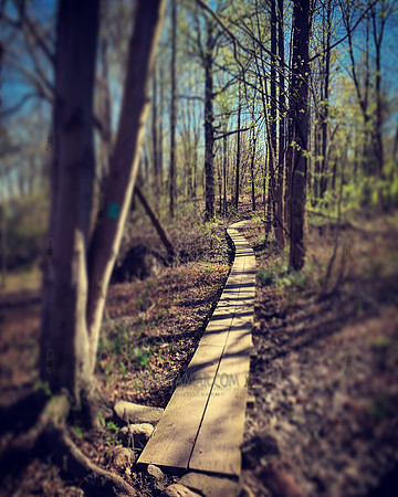Palisades Interstate Park