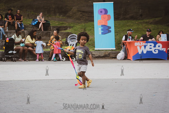NYC SummerStage - Gil Scott Heron Tribute - St Marys Park - NYC