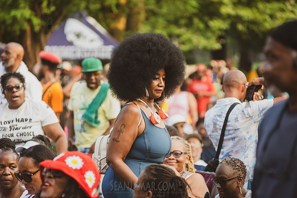 CPF SummerStage - Chuck Chillout 40th Radio Anniv - Crotona Park