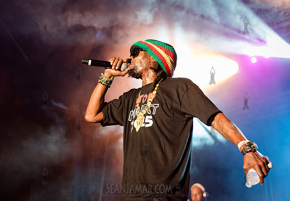 CPF SummerStage - Chuck Chillout 40th Radio Anniv - Crotona Park