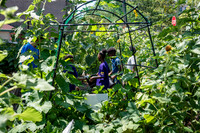 CPF Learning Gardens - Abib Newborn - NYC -2025