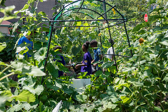 CPF Learning Gardens - Abib Newborn - NYC -2025