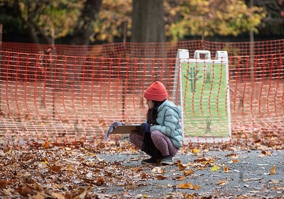 CPF Learn - Seeds To Trees - Prospect Park - NYC - 2024