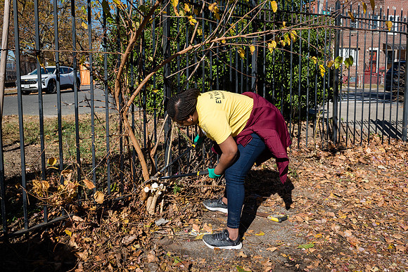 CPF Learn - Learning Gardens Liberty Learning Garden - NYC - 202