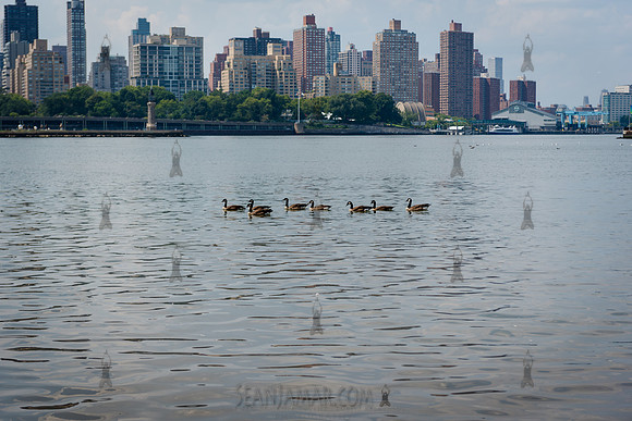 CPF Learn - Coastal Classroom - Hallets Cove - NYC - 2024