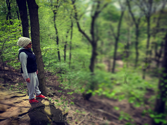 Garrett Mountain