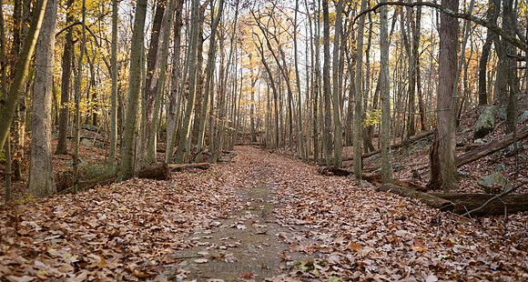 Adventure Day - Ramapo Mountain State Park - NJ - 2020