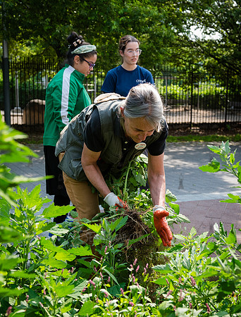 CPF - Coastal Classrooms - Bushwick Inlet Park - NYC - 2025