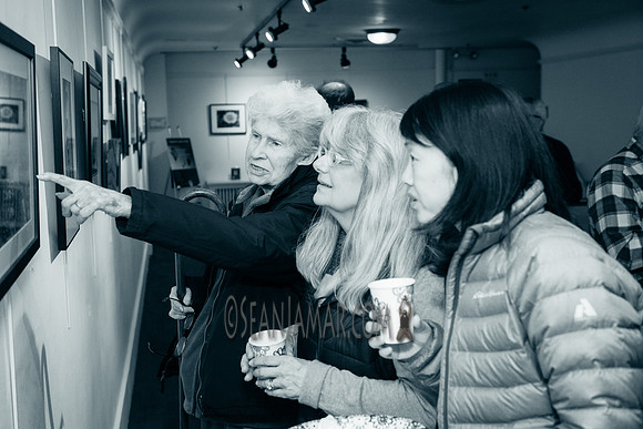 TCC - Through Our Eyes - Sandy Bennett Art Gallery - Bergen PAC - Englewood NJ - 2018