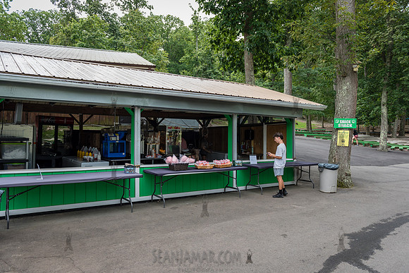 ARUP Company Picnic - Black Bear Lake - Millstone Township NJ -