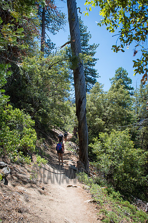 Adventure Day - Chilnualna Falls Hike - Yosemite National Park - Wawona CA - 2017