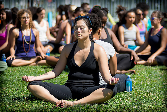 Afropunk Festival - Commodore Barry Park - BK USA - 2013