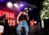 Natural Elements - NYC SummerStage - Fat Beats 30th Anniversary