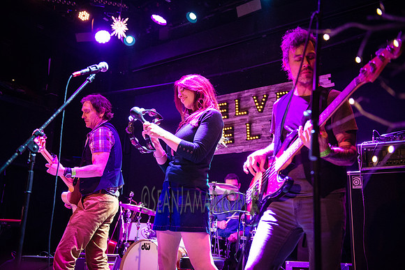 Don DiLego - Velvet Elk Records Holiday Show - Bowery Ballroom - NYC - 2016