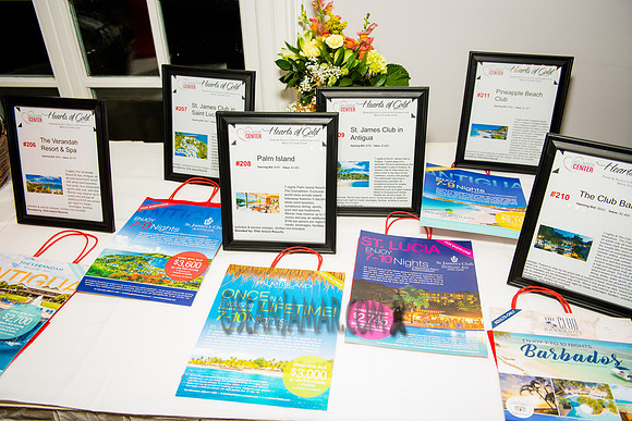 Bergen Volunteer Center - Hearts of Gold Dinner and Auction - The Stony Hill Inn - Hackensack NJ - 2017