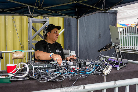 DJ Rekha - CPF SummerStage - Arooj Aftab - Rumsey Playfield - NY