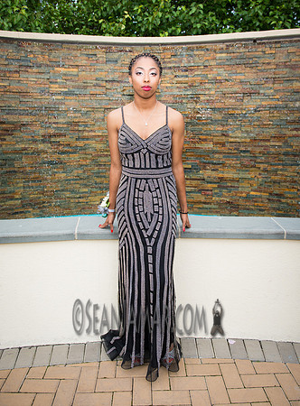 Tamorae Binns - Senior Prom - NJ - 2017