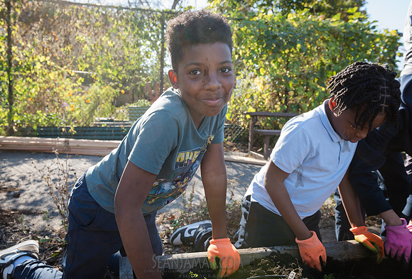 CPF Learn - Learning Gardens Liberty Learning Garden - NYC - 202