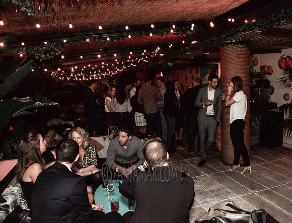 Media IQ - Quarterly Meeting - NYC - 2016