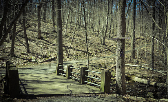 Adventure Day - Hacklebarney State Park - Chester NJ - 2021