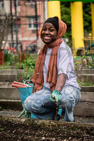 CPF Learning Gardens - Grove Hill Community  Garden - NYC - 2024