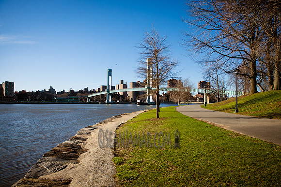 Adventure Day - Randalls Island -  NYC - 2017