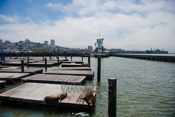 Adventure Day - Pier 39 - San Francisco CA - 2017