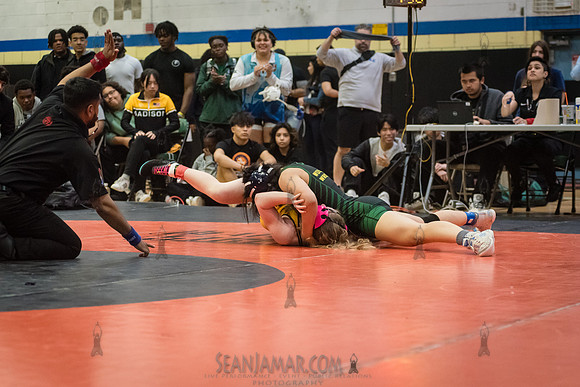 PSAL Girls Individual Championships - Harry S Truman HS - NYC -