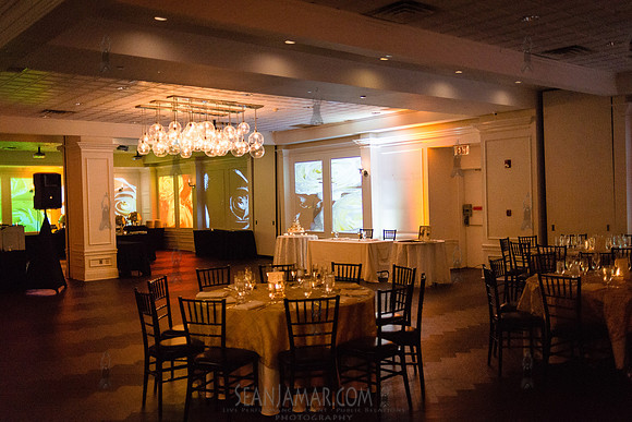 50th Wedding Anniversary - Radison Hotel - New Rochelle - 2018