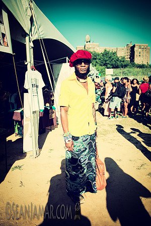 Afropunk Festival - Commodore Barry Park - BK USA - 2014